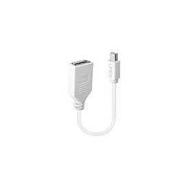 Lindy - DisplayPort adapter - Mini DisplayPort (M) to Dis | 41021