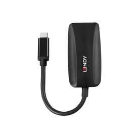 Lindy - Adapter - 24 pin USB-C (M) to DisplayPort (F) - D | 43337