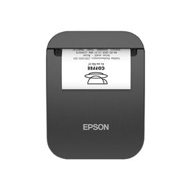 Epson TM P20II (111) - Receipt printer - thermal lin | C31CJ99111