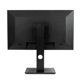 AG Neovo DW2401 / 60.5 cm (23.8") / 2560 x 1440 p | DW241011E0100
