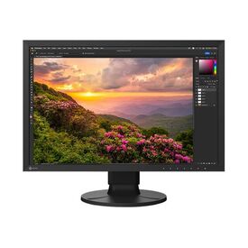 EIZO ColorEdge CS2400S - CS Series - LED monitor - 24" (24.1" vie