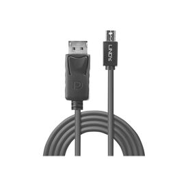 Lindy - DisplayPort cable - DisplayPort (M) to Mini Displ | 41647