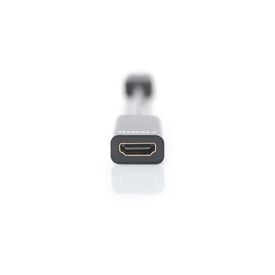 DIGITUS - Video adapter - DisplayPort (M) to HD | DB-340400-001-S