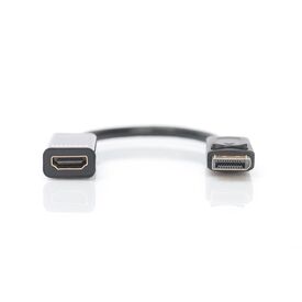 DIGITUS - Video adapter - DisplayPort (M) to HD | DB-340400-001-S