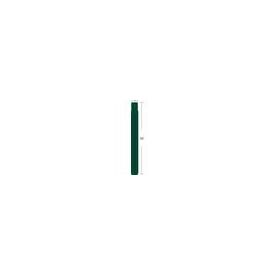 Zebra ZBand Fun Green 25.4 x 254 mm 1400 label(s) 100127124