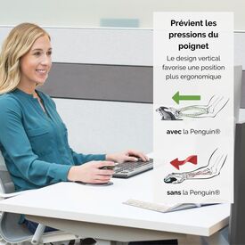 Fellowes Penguin Large - Vertical mouse - right and lef | 9894501