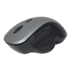 Gembird MUSW-6B-02-BG - Mouse - ergonomic - optical - 6 buttons -
