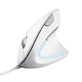 Trust Verto / Right-hand / Optical / USB Type-A / 1600 DP | 25133