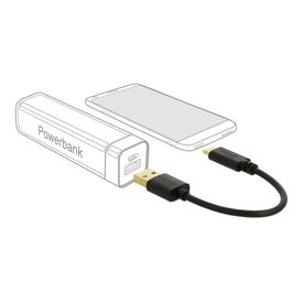 Delock - USB adapter - USB (M) to USB-C (M) - 3 A - 15 cm | 85354