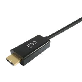 Equip Life - Adapter cable - DisplayPort male to HDMI ma | 119390