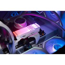 Kingston FURY Beast RGB - DDR5 - kit - 32 GB  | KF560C30BWEAK2-32