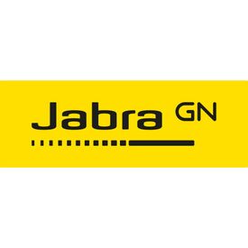 Jabra Evolve 65 TE Mono - Headset - on-ear - Bluet | 6693-839-409
