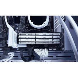 Kingston FURY Beast - DDR5 - module - 16 GB - DI | KF560C30BWE-16
