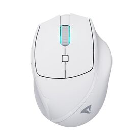 Sharkoon OfficePal M25W, Right-hand, Optical, RF  | 4044951039654