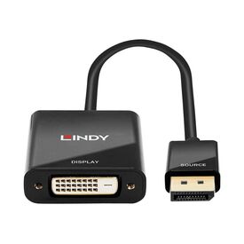 Lindy DisplayPort to DVID Adapter Video converter Parade 41734