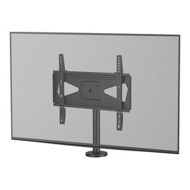 Neomounts DS42-430BL14 - Stand - bolt-down - for TV - steel - bla
