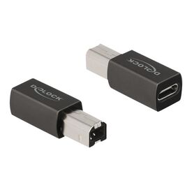 Delock - USB adapter - 24 pin USB-C (F) to USB Type B (M) | 65839