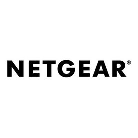 NETGEAR PR460X - Router 2.5GbE, 10GbE - WAN ports | PR460X-111EUS