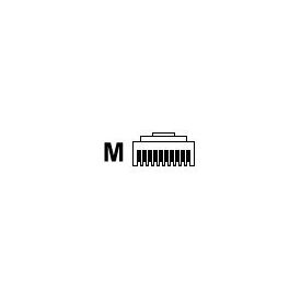 Datalogic CAB-461 - Serial cable - RJ-45 (10 pin) (M) - 3.6 m - c
