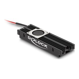 Delock - Solid state drive heatsink - SATA - black | 18451