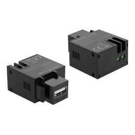 Delock Keystone module - Modular insert - USB charging -  | 86506