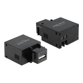 Delock Keystone module - Modular insert - USB charging -  | 86506