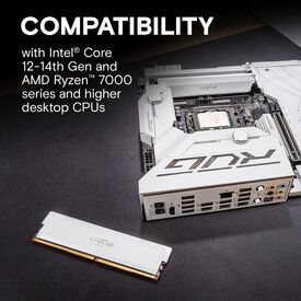 Crucial Pro - Overclocking Edition - DDR5 - kit | CP2K16G60C36U5W