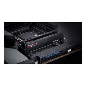 G.Skill Flare X5 F5-5200J4040A32GX2-FX5 / PC / 64 GB / 2 x 32 GB
