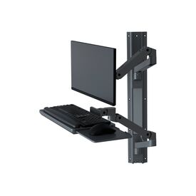 Ergotron LX Pro - Mounting kit (2 arms, 2 extensions | 45-696-293