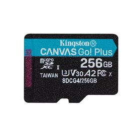Kingston Technology 256GB microSDXC Canvas Go Plu | SDCG4/256GBSP