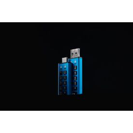 Kingston IronKey Keypad 200 / USB flash drive / e | IKKP200/256GB