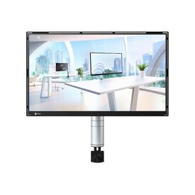 EIZO FlexScan FLTBK With Arm LED monitor 23.8 1920 x 1080 FLT