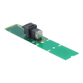 Delock Adapter M.2 Key M to SFF8643 NVMe 22110 2280 2260 63145