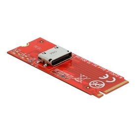 Delock Interface adapter M.2 M.2 NVMe Card PCIe 4.0 64106