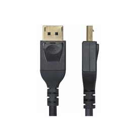 DisplayPort cable / Mini DisplayPort (M) to Displa | DP14MDPMM10F