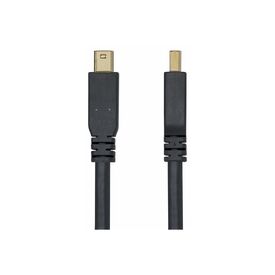 DisplayPort cable / Mini DisplayPort (M) to Displa | DP14MDPMM10F