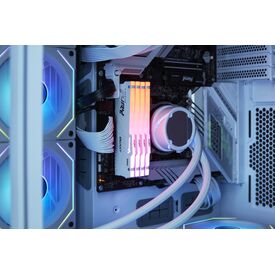 Kingston FURY Beast RGB / DDR5 / module / 32 GB | KF556C36BWEA-32