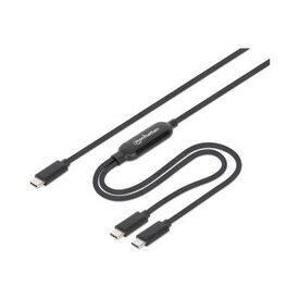 Manhattan Dual USB-C Charging Cable 100 W, 2 m 355810