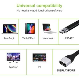 Techly Short Flat USB-C Male to Displayport  ICOCUSBCDP12