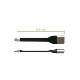 Techly Short Flat USB-C Male to Displayport  ICOCUSBCDP12