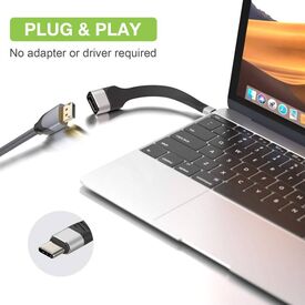 Techly Short Flat USB-C Male to Displayport  ICOCUSBCDP12
