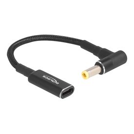 Delock / Power adapter / 24 pin USB-C (F) to DC jack 5.5  | 60040
