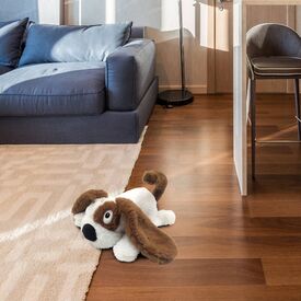 Mad Monkey 2000060 / Toy dog / 3 yr(s) / AA