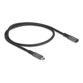 Delock / USB extension cable / 24 pin USB-C (M) to 24 pin | 80021