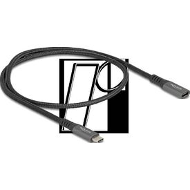 Delock / USB extension cable / 24 pin USB-C (M) to 24 pin | 80021