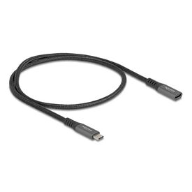 Delock / USB extension cable / 24 pin USB-C (M) to 24 pin | 80021