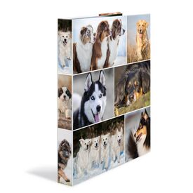 HERMA 19358 / A4 / Cardboard / Multicolour / 1 pc(s)