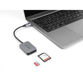 Delock Card reader (microSD, SD) 91009