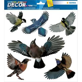 HERMA Warning birds for windows, colorful, 30x30 cm, 15539