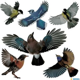 HERMA Warning birds for windows, colorful, 30x30 cm, 15539